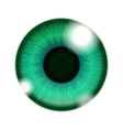 Human Green Eye vector image