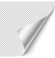 Curled corner with shadow vector image