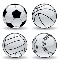 Sport balls vector image