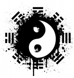 Yin yang Yin yang vector image