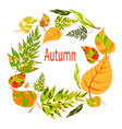 Autumnal round frame hand drawn autumn leaves vector image
