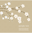 Cherry blossom card vector image