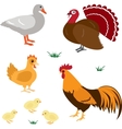 Farm animals set 4 vector image