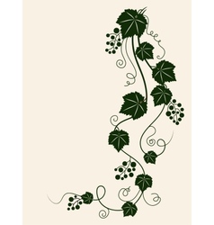 Grape vine silhouette vector image