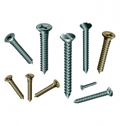 Fasteners vector image