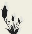 Rose illustration vector image
