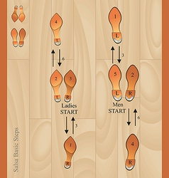 Salsa basic steps vector image