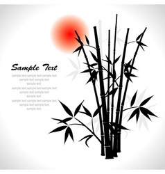 Bamboo background vector image