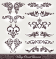 Vector set of ornaments Vector set of ornaments vector image
