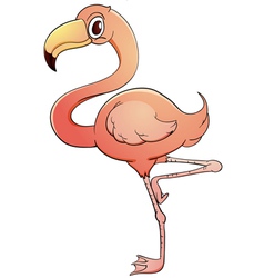 Flamingo vector image
