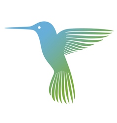Hummingbird vector image
