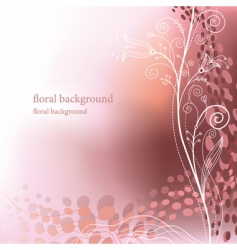 Floral background vector image