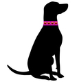 Dog tick collar vector image