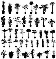 Plants silhouettes vector image