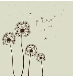Sylized dandelions vector image
