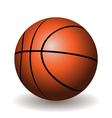 Basketball Basketball vector image