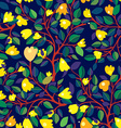 Floral seamless pattern with yellow flowers on vector image