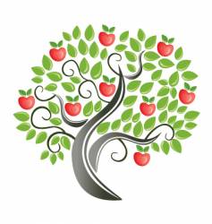 Apple tree vector image