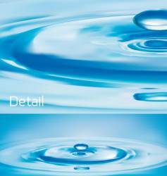 Water drop vector image