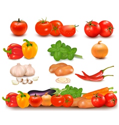 Vegetables collection vector image