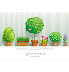 Pot plants vector image