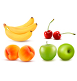Group of fresh colorful fruit vector image