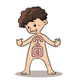 Child Body Organ vector image