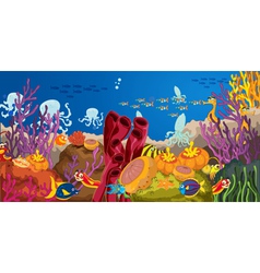 Octopus and coral in water vector image