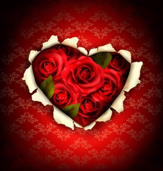 Valentine Heart Card Design Red roses and ripped vector image