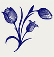 Tulips vector image