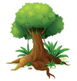 A big tree vector image