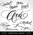 Names hand lettering set vector image