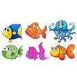 Five different kinds of sea creatures vector image