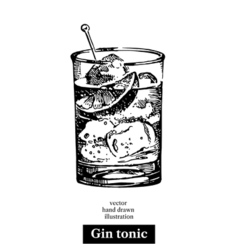 Hand drawn sketch cocktail gin tonic vintage vector image