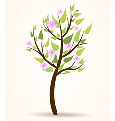 Spring blossom tree vector image