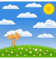 Green field with wooden arrow sign vector image