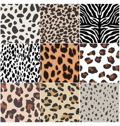 Animal skin seamless pattern vector image