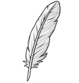 Feather vector image