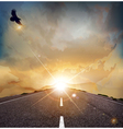 Eagle road background vector image