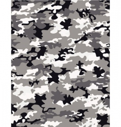 Camouflage vector image