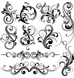 Floral graphic design vector image