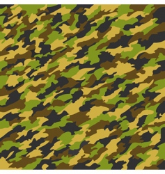Camouflage texture vector image