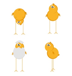 Funny chicken set vector image