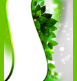 Green leaves vector image