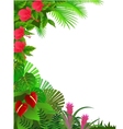 Tropical forest vector image