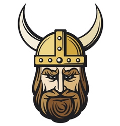 Viking head vector image