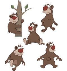 Bears vector image