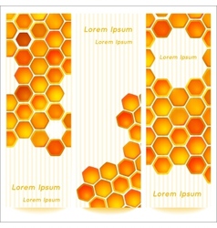 Vertical banners with honeycomb cells on vintage vector image