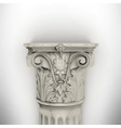 Column isolated on white wall vector image