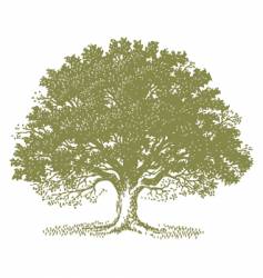 Tree vector image
